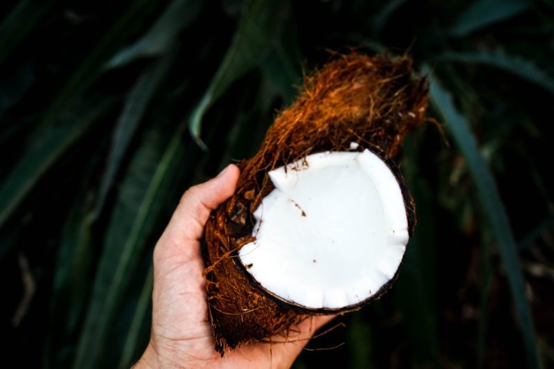 Person holding coconut husk